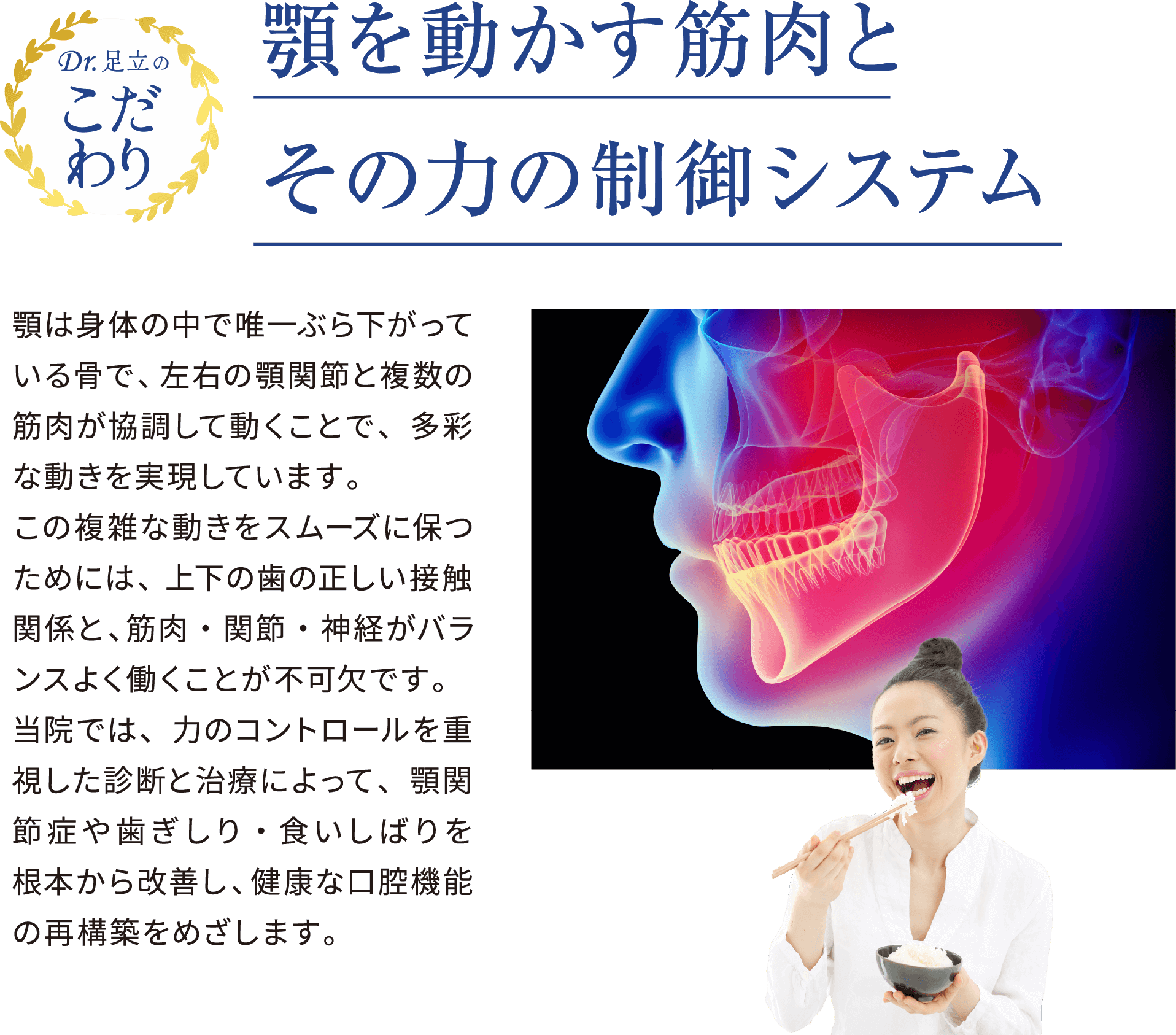 顎を動かす筋肉とその力の制御システム